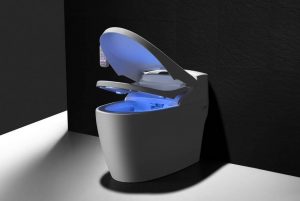 Smart Toilet intelligent bidet 