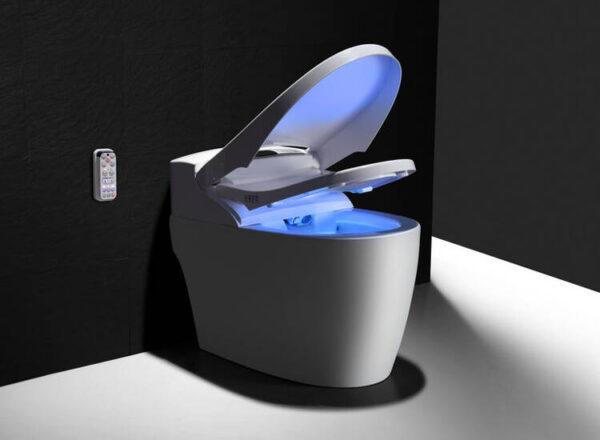 smart intelligent bidet toilet